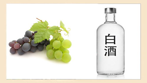 酒桌上“千杯不倒”的秘密,快來看看你知道幾個